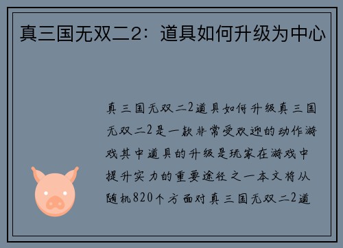 真三国无双二2：道具如何升级为中心